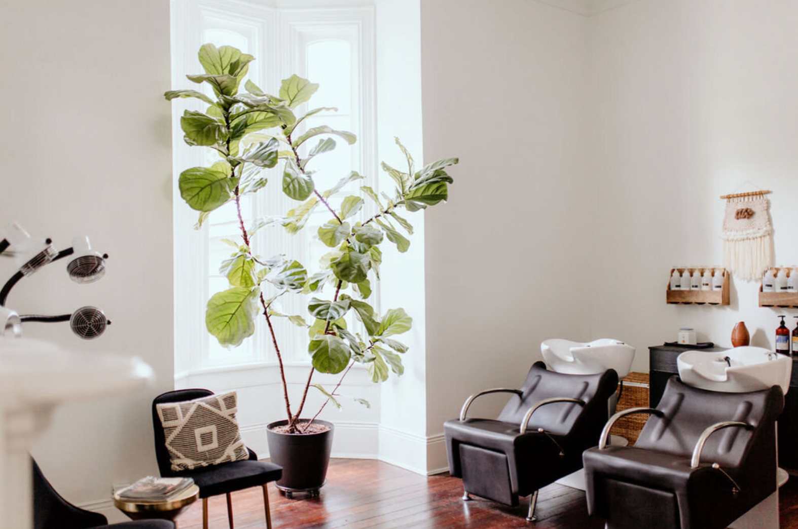 Interior of a modern salon with large indoor plant, wooden floors, and wash chairs.