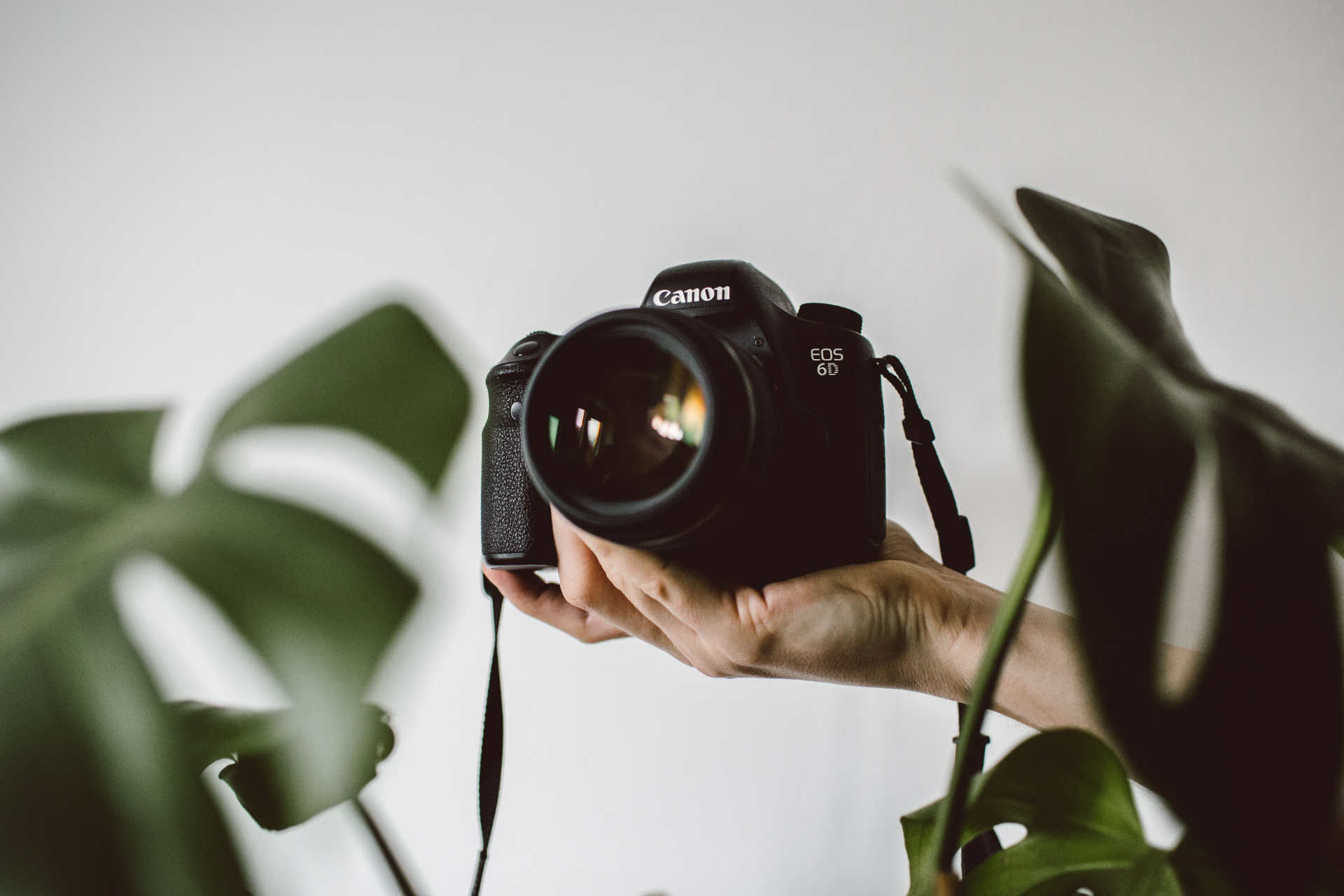Hand holding Canon EOS 6D camera