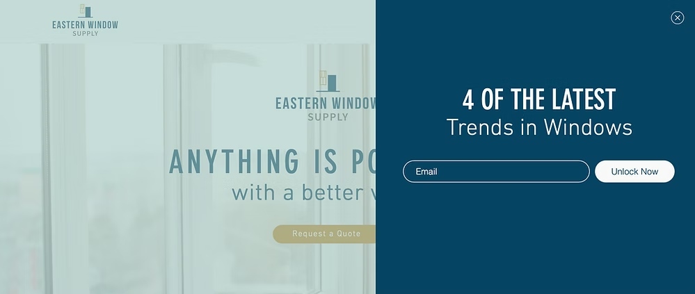 Website pop-up offering trends in window design with a simple email opt‑in form.