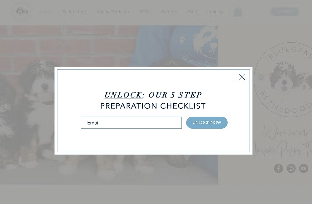 Website pop-up offering a downloadable five-step preparation checklist with email opt-in field.