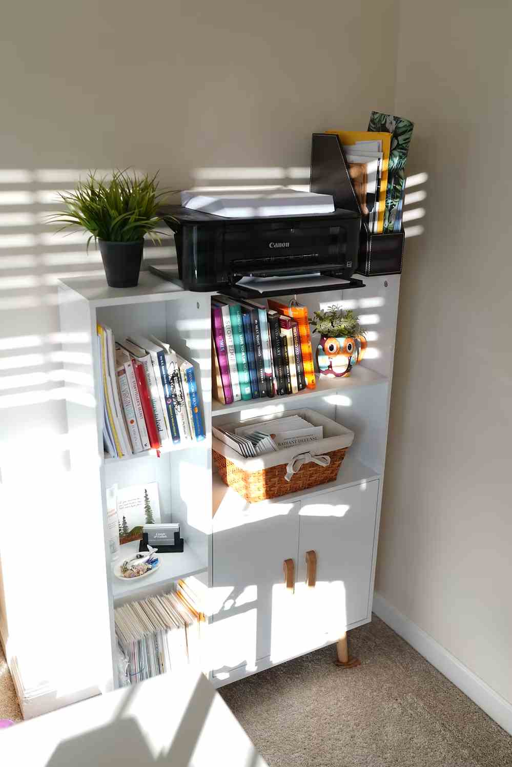 Close-up of office shelf with Canon printer, file organizer, books, and small indoor plant.
