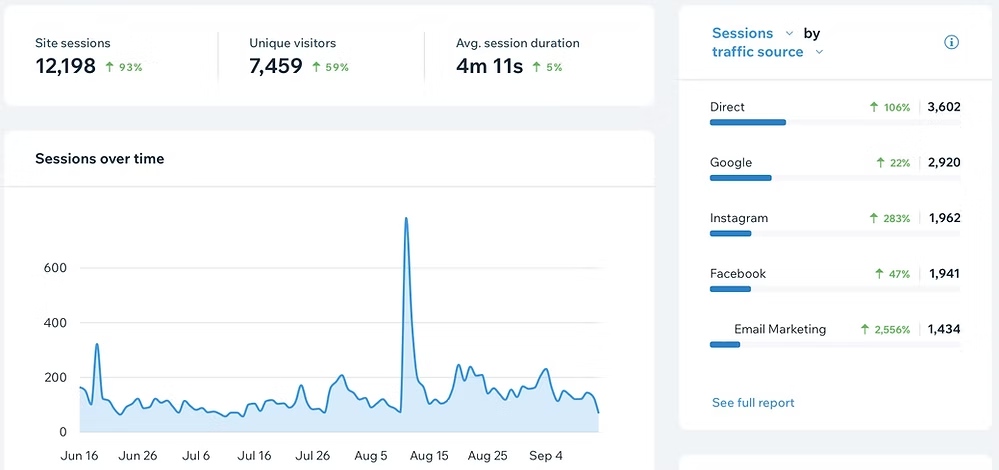 Screenshot of website analytics dashboard showing traffic growth, visitor data, and traffic sources.