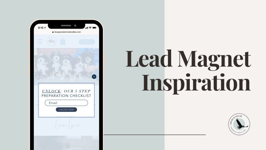 Graphic showing a lead magnet example on a mobile device with the title “Lead Magnet Inspiration.”
