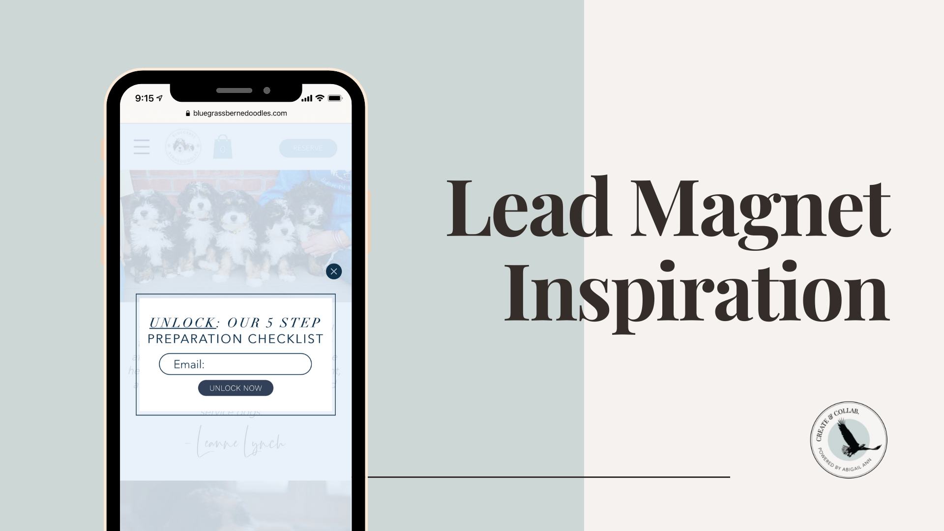 Graphic showing a lead magnet example on a mobile device with the title “Lead Magnet Inspiration.”