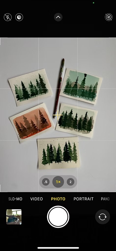 Phone camera interface capturing watercolor paintings of pine trees arranged on a table.