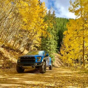 Blue Ford Raptor truck on dirt road surrounded by vibrant yellow aspen trees in autumn forest setting.